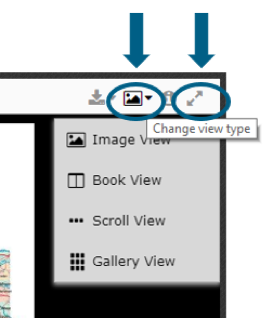 Change View Type